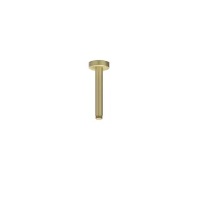 IVY - Ceiling tube 15cm 1/2 - Brushed matt gold PVD