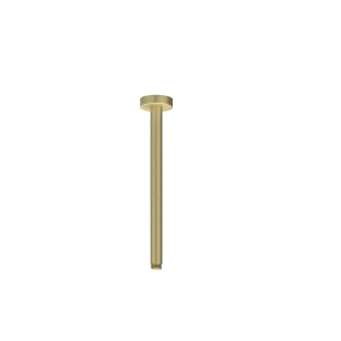 IVY - Ceiling tube 30cm 1/2 - Brushed matt gold PVD