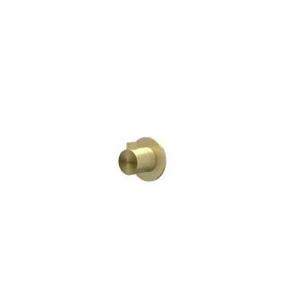 IVY Tribe - Finishing part built-in stop valve symmetry round rosette - RVS316 brushed matt gold PVD