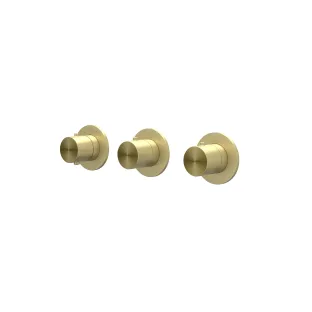 IVY Concord - Finishing part built-in thermostat 2 stop valves symmetry round rosettes - RVS316 brushed matt gold PVD