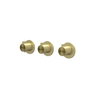 IVY Tribe - Finishing part built-in thermostat 2 stop valves symmetry round rosettes - RVS316 brushed matt gold PVD