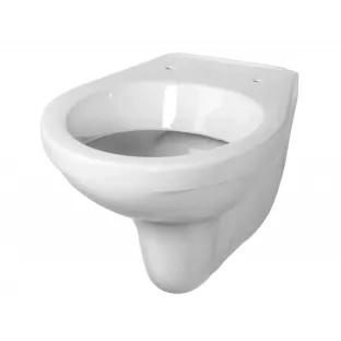 Geberit hangend toilet - Glans wit - 51 cm diep