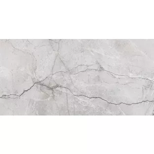 Wall tile - Tilorex Parioli Grey Glossy - 30x60 cm - Rectified - Ceramic - 9 mm thick - VTX61294