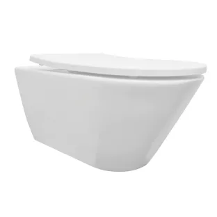 Wiesbaden Stereo rimless wall-mounted toilet with shade toilet seat - 53 cm - matt white