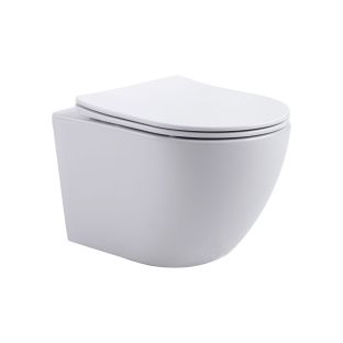 Hangtoilet - Tornado flush - randloos - met zitting - duroplast - softclose - quick release - compact - 49cm - 32x32x49cm - glanzend wit